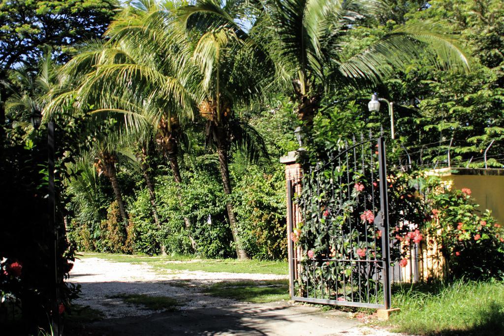 Hotel Isolina Beach Potrero (Guanacaste) Exterior foto