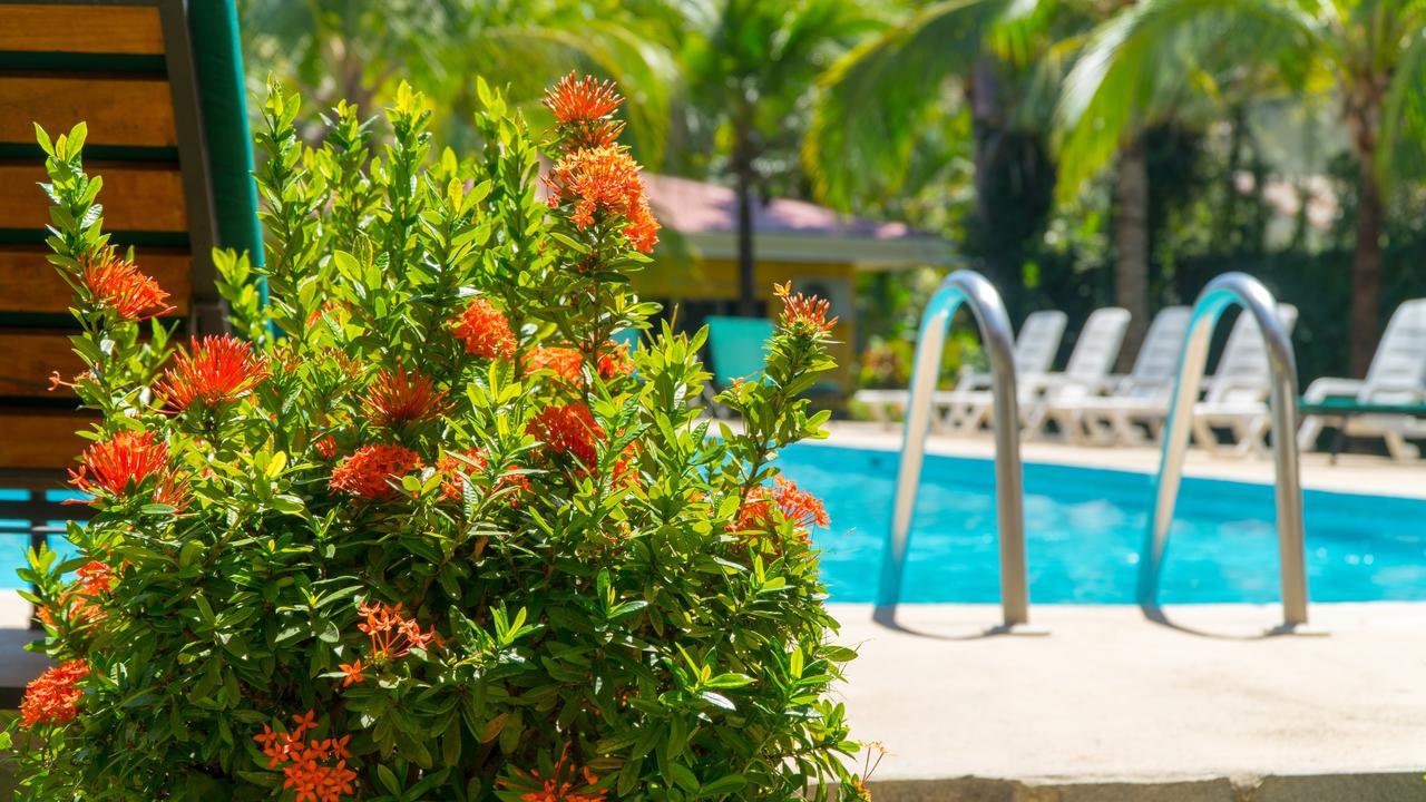 Hotel Isolina Beach Potrero (Guanacaste) Exterior foto